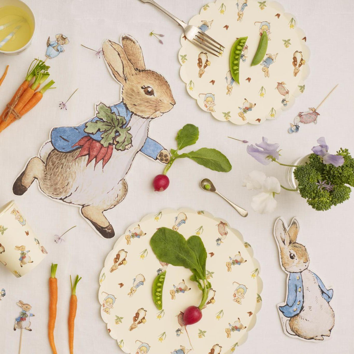 Peter Rabbit Party Supplies & Decorations | Meri Meri – Meri Meri UK Retail