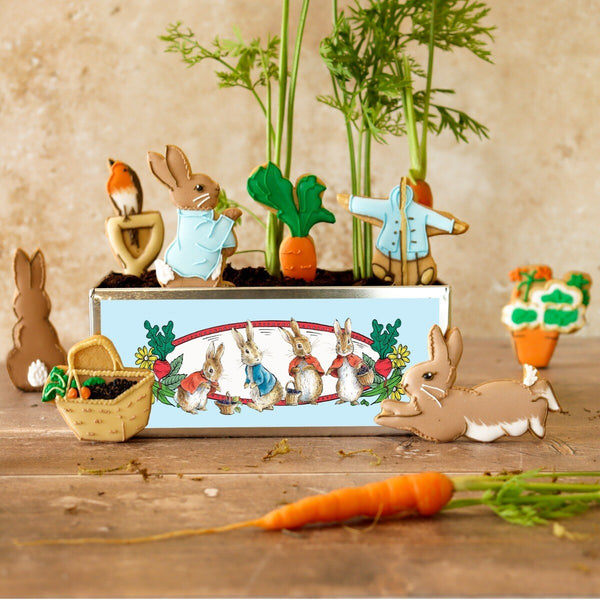 Beatrix Potter Biscuit Tin