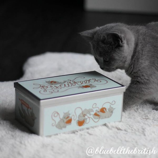 Cat Biscuit Tin