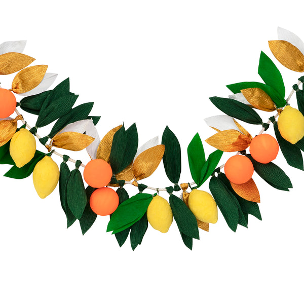 Citrus Fruit Garland Image1