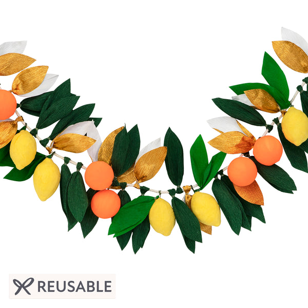 Citrus Fruit Garland Image1