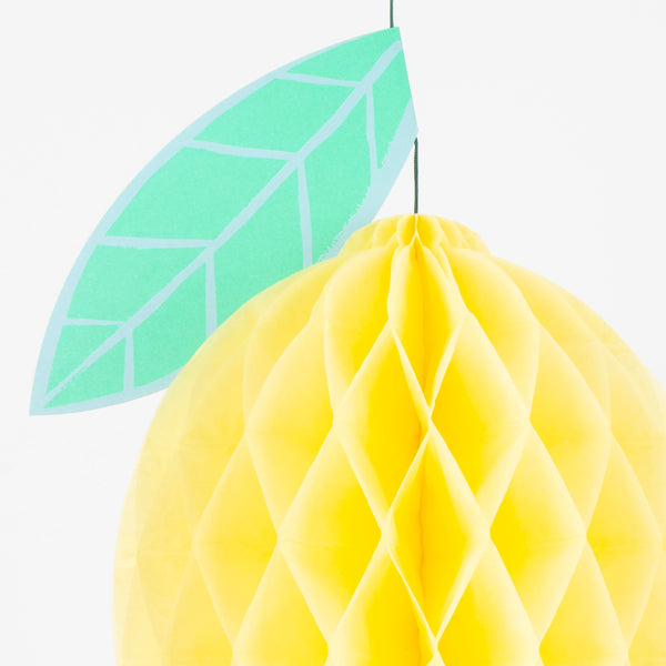 Our large paper fruits are the perfect tropical party decorations, hang the pack of seven together or separately for a statement effect. Image3
