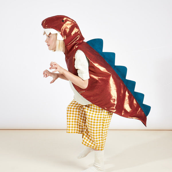 Dinosaur Costume Image3
