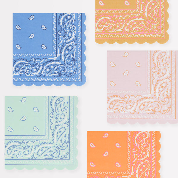 Our Western party set includes products for 8 guests, with paper plates, cups, napkins, mini cowboy hats, party bags and a statement garland.  Image6