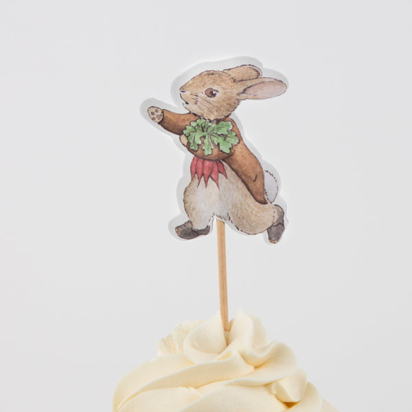 Our cupcake decorating kit includes Peter Rabbit and frienda cupcake toppers and green gingham cupcake cases. Image5