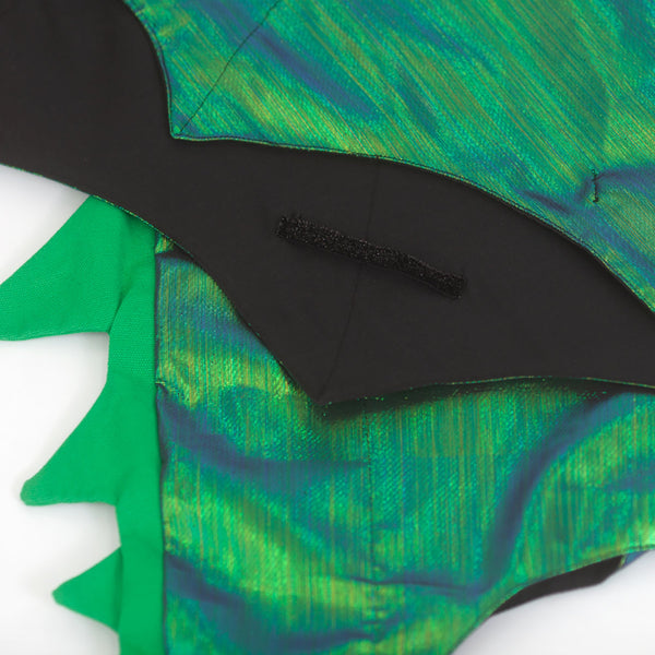 Dragon Costume Image6