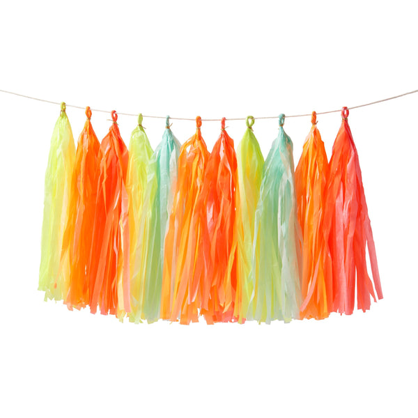 Neon Tassel Garland