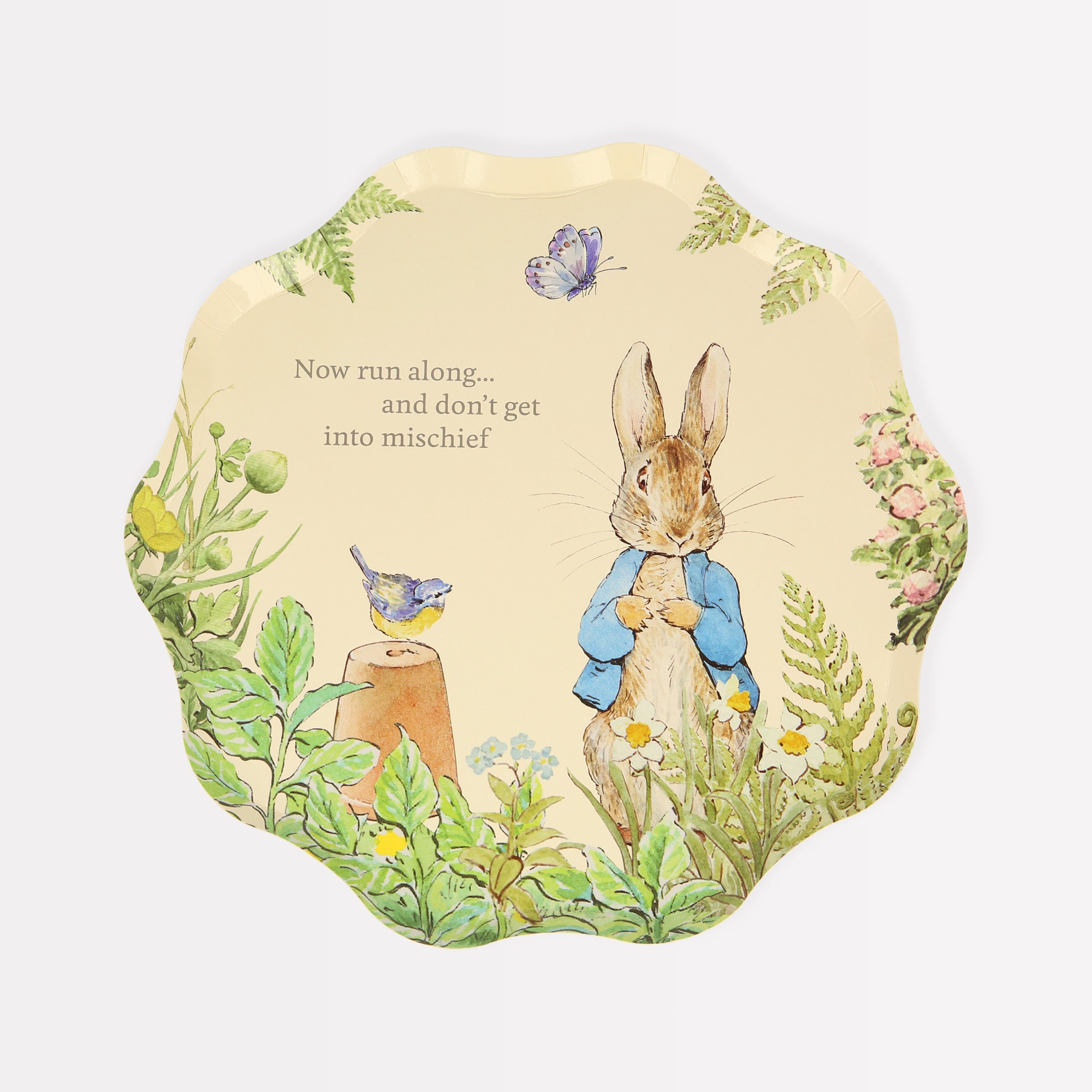 Our Peter Rabbit paper plates, are perfect as Easter plates.