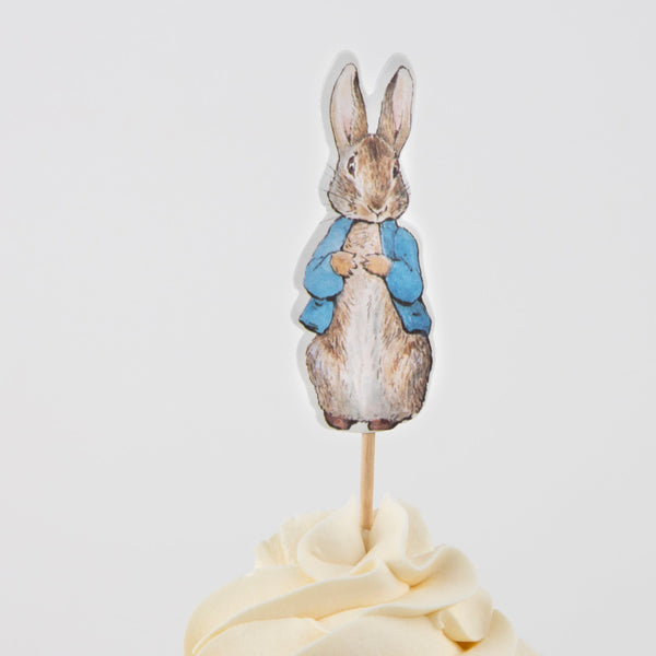 Our cupcake decorating kit includes Peter Rabbit and frienda cupcake toppers and green gingham cupcake cases. Image3